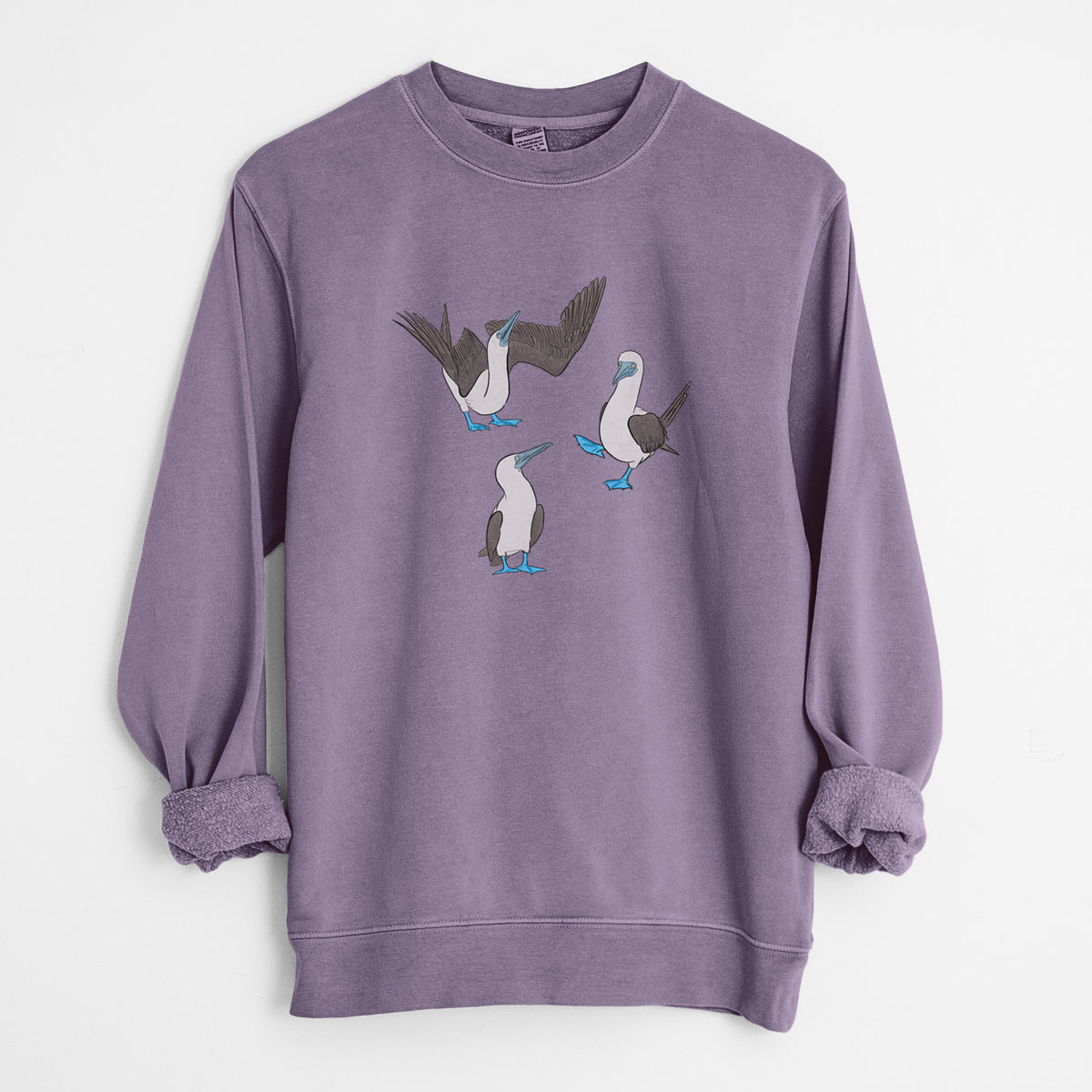 Blue-footed Booby Trio - Sula nebouxii - Unisex Pigment Dyed Crew Sweatshirt