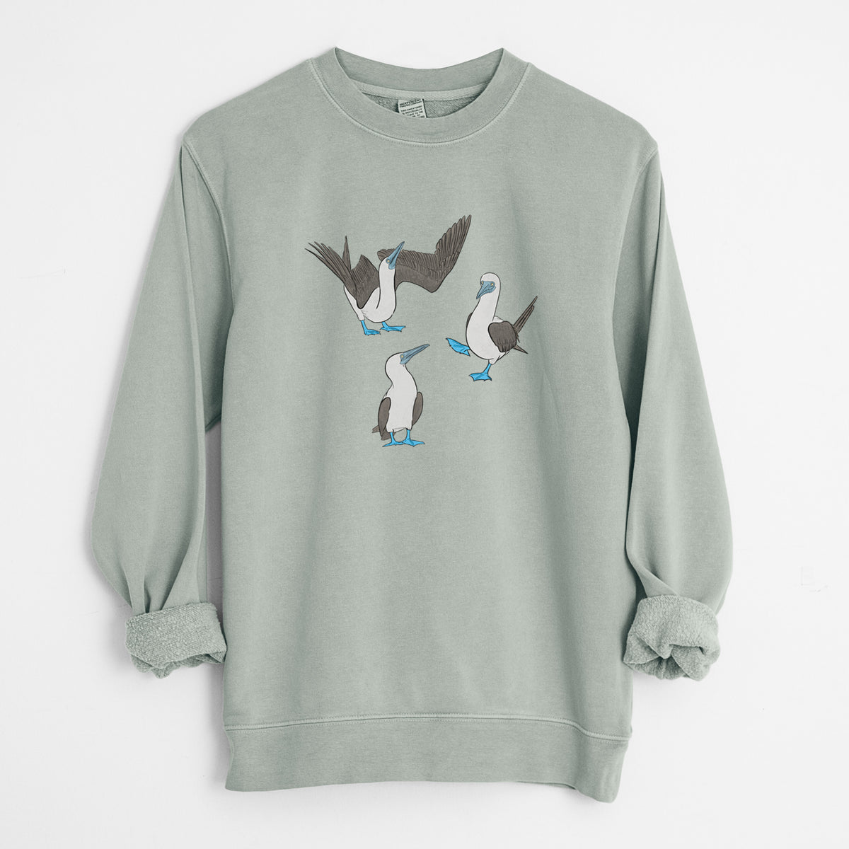 Blue-footed Booby Trio - Sula nebouxii - Unisex Pigment Dyed Crew Sweatshirt