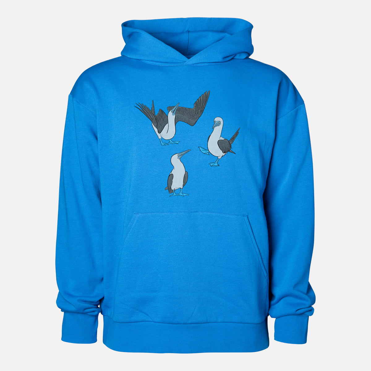 Blue-footed Booby Trio - Sula nebouxii - Statement Midweight Hoodie in Azure Blue, shown from the front with the design printed on the chest above a front kangaroo pocket.