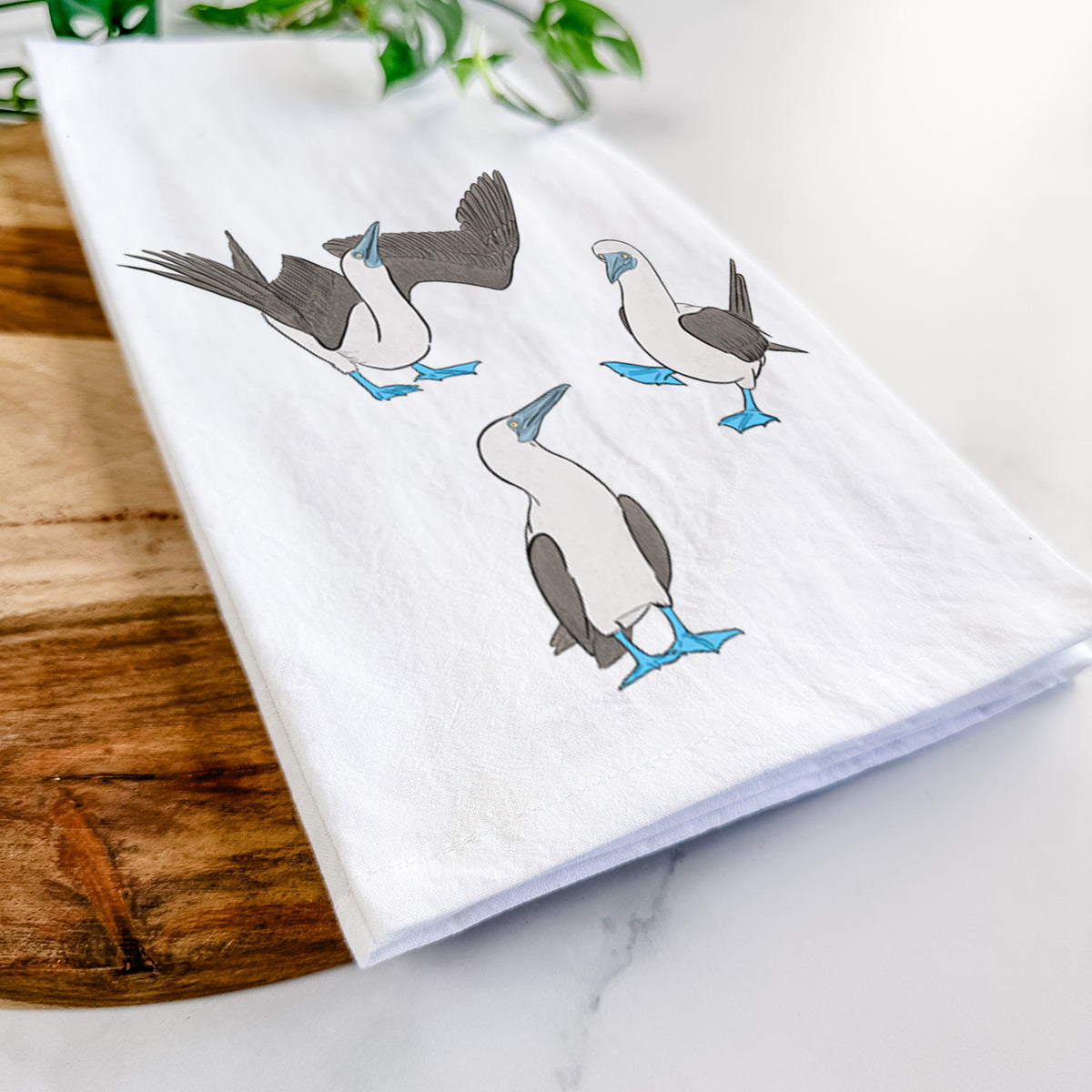 Blue-footed Booby Trio - Sula nebouxii - Tea Towel