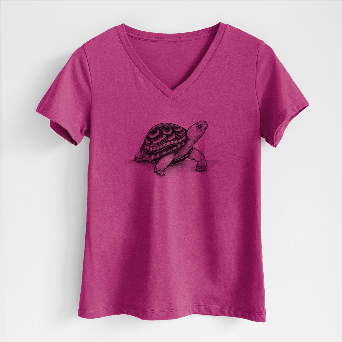 Common Box Turtle - Terrapene carolina - Women&#39;s Lightweight Relaxed Fit 100% Cotton V-neck