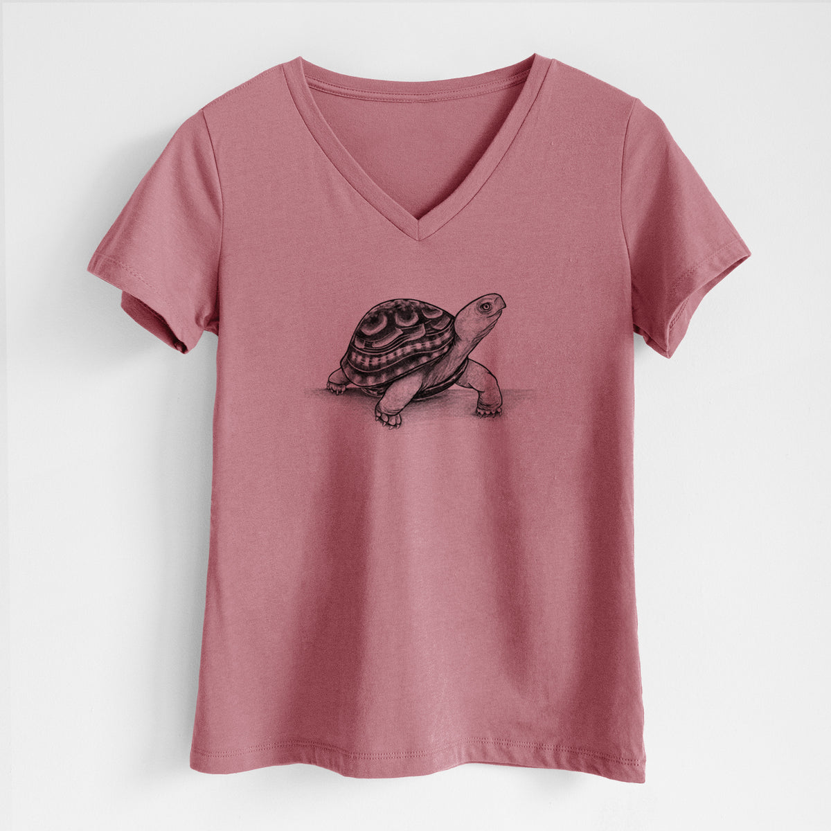 Common Box Turtle - Terrapene carolina - Women&#39;s Lightweight Relaxed Fit 100% Cotton V-neck