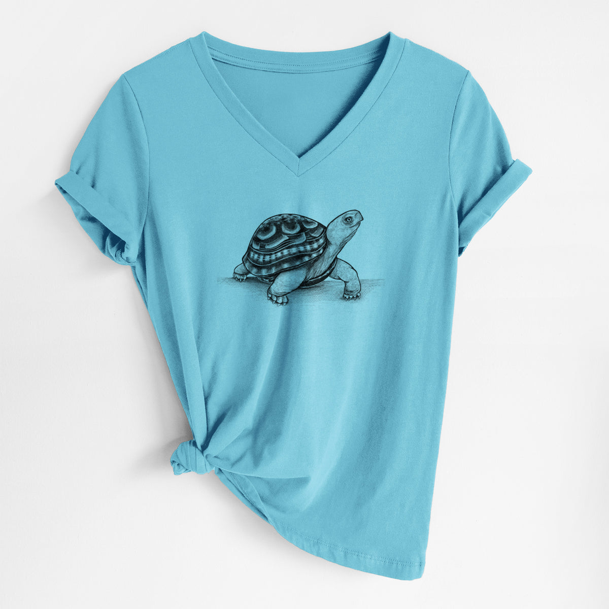 Common Box Turtle - Terrapene carolina - Women&#39;s Lightweight Relaxed Fit 100% Cotton V-neck