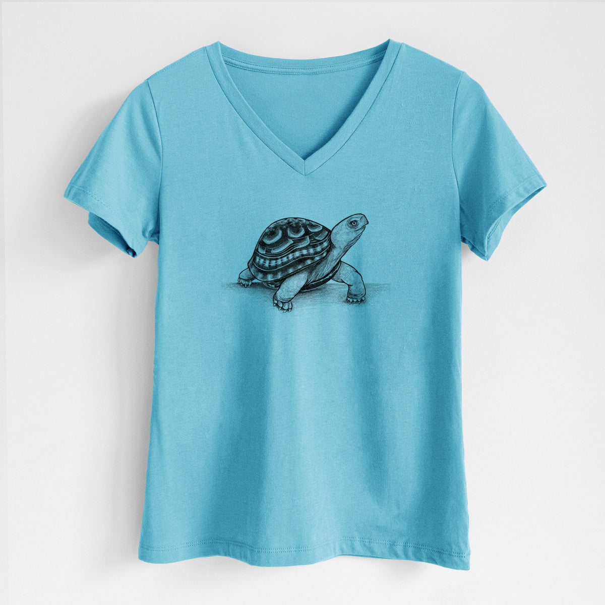 Common Box Turtle - Terrapene carolina - Women&#39;s Lightweight Relaxed Fit 100% Cotton V-neck