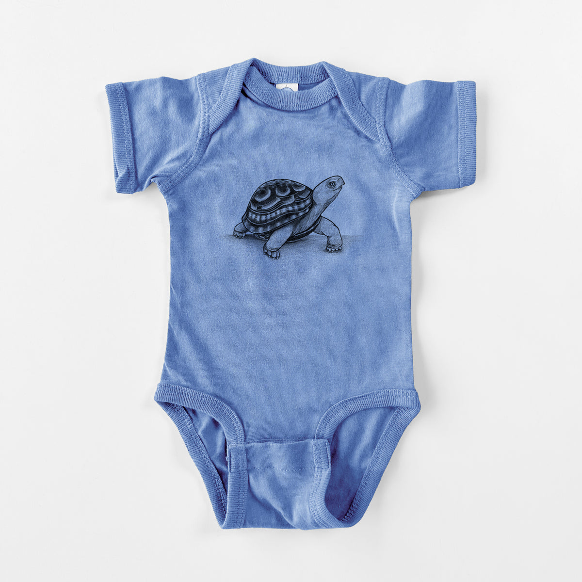 Common Box Turtle - Terrapene carolina - Baby Fine Jersey Bodysuit