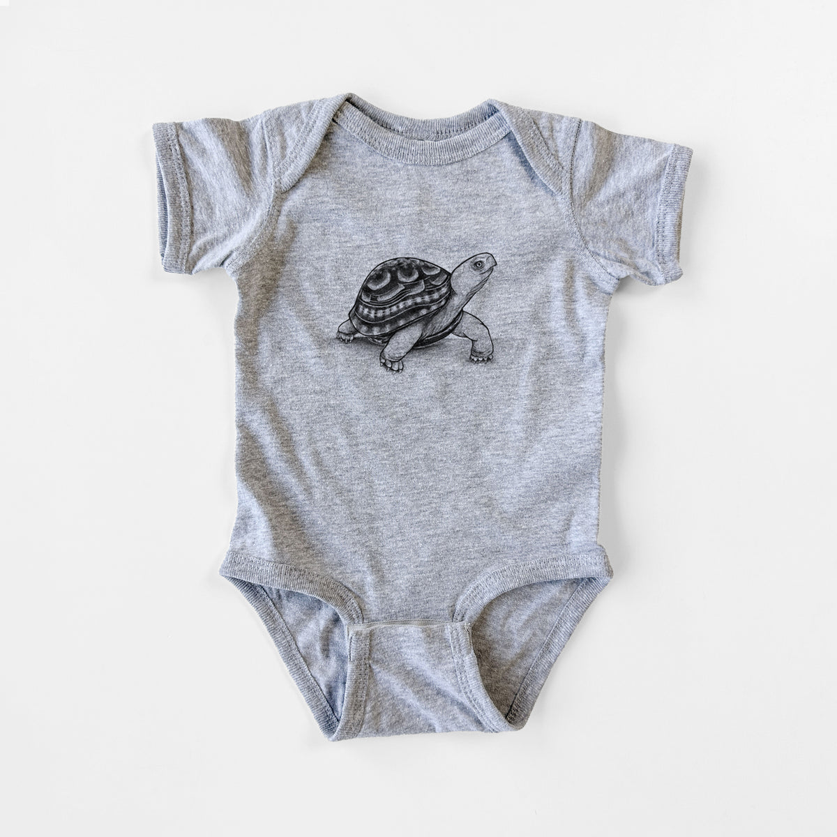 Common Box Turtle - Terrapene carolina - Baby Fine Jersey Bodysuit
