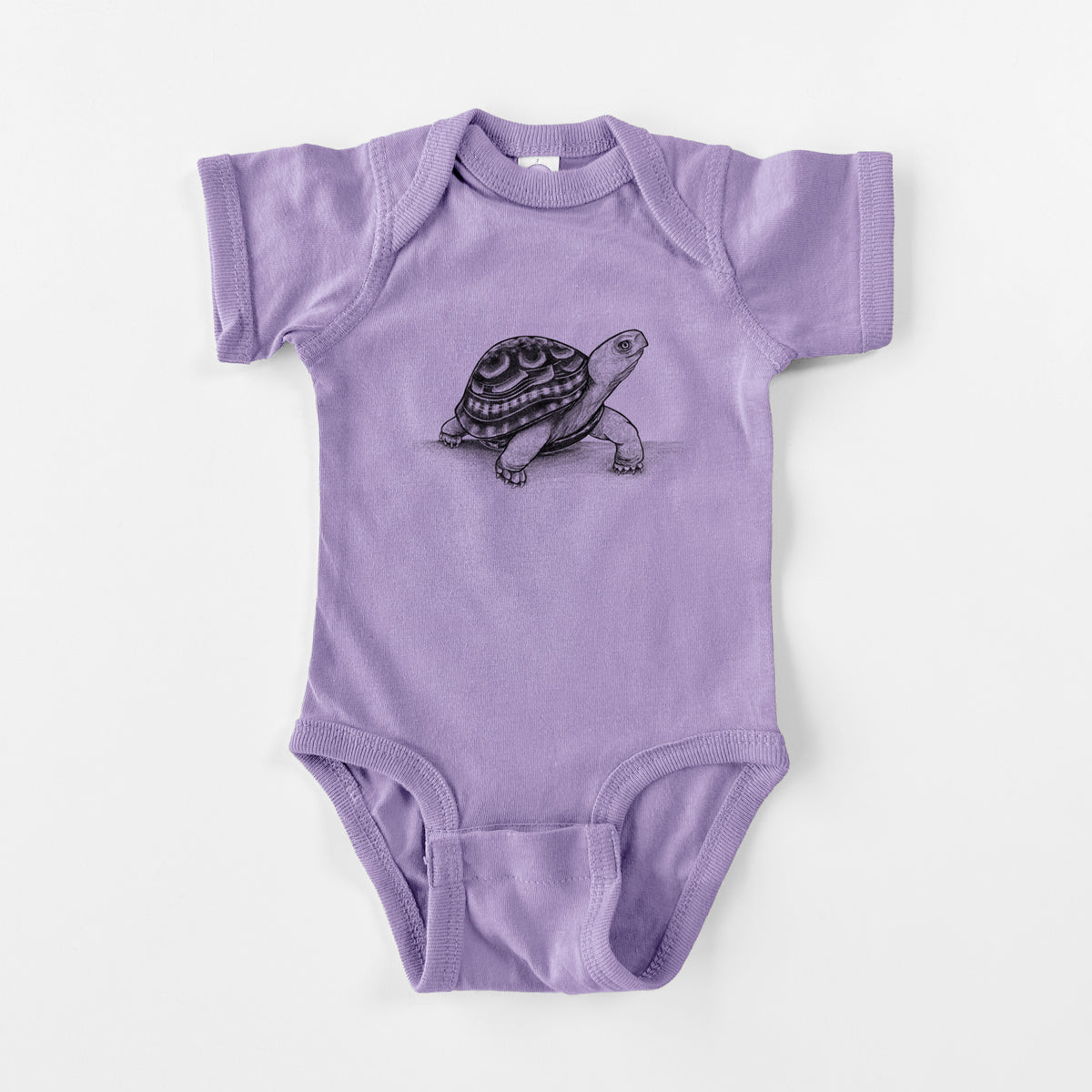 Common Box Turtle - Terrapene carolina - Baby Fine Jersey Bodysuit