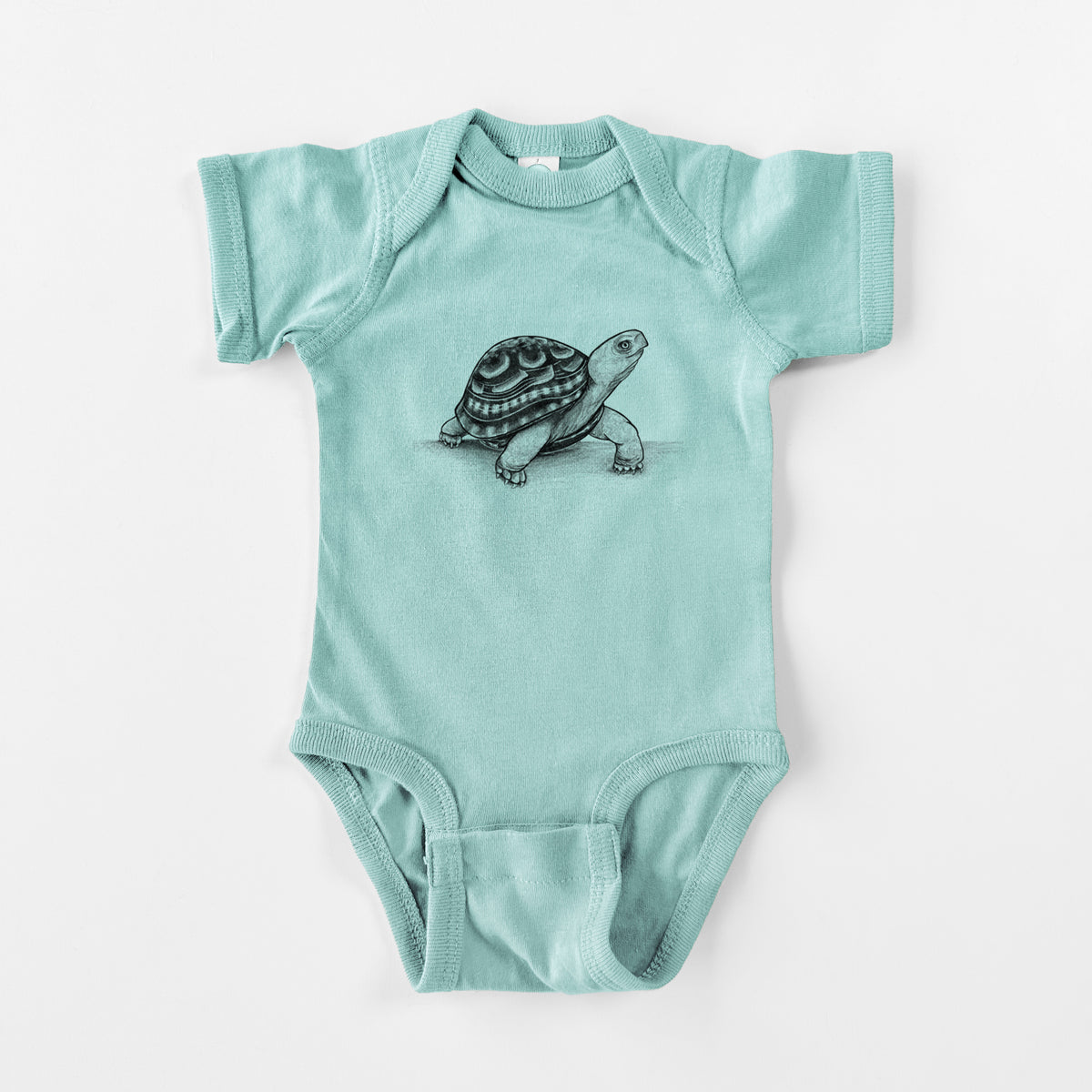 Common Box Turtle - Terrapene carolina - Baby Fine Jersey Bodysuit