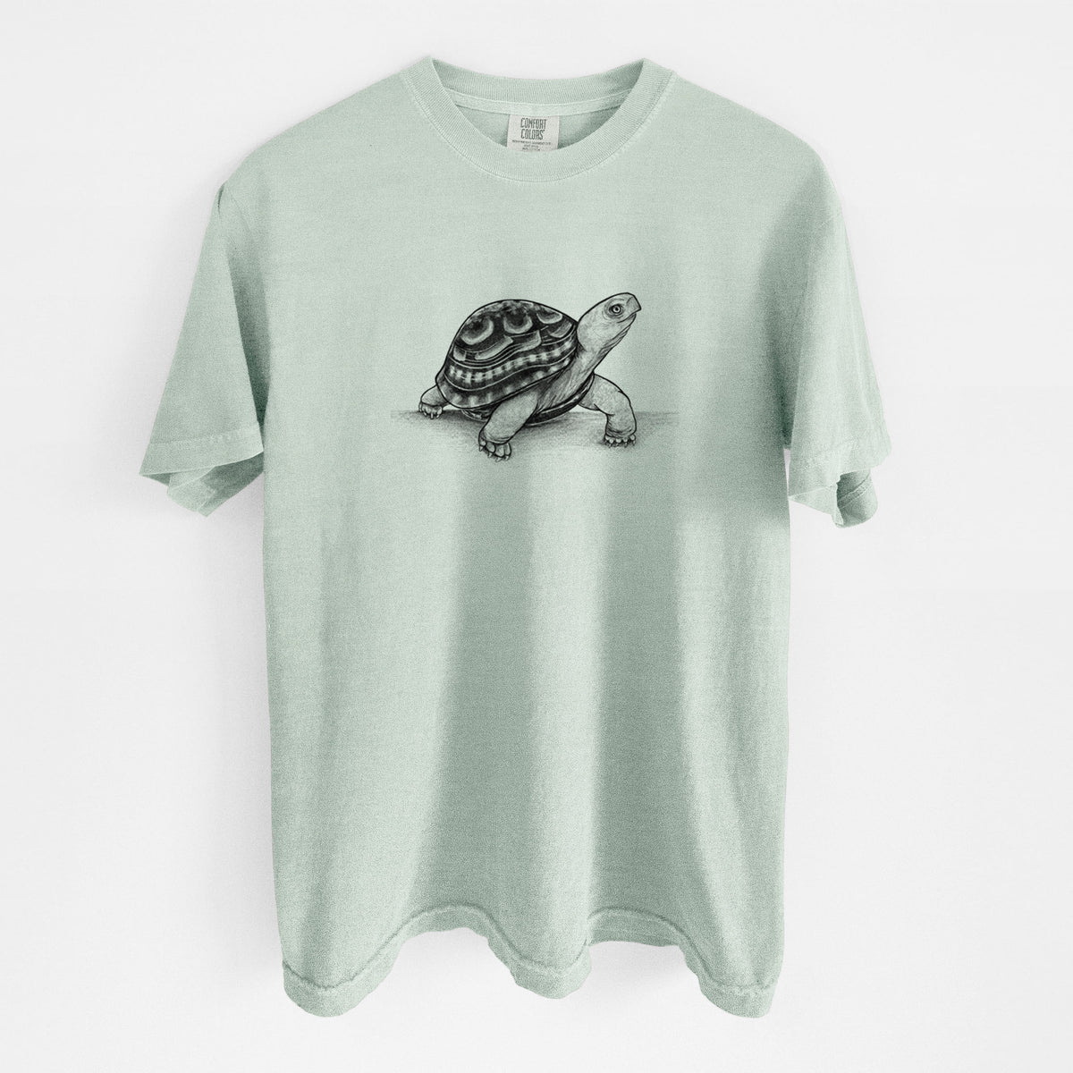 Common Box Turtle - Terrapene carolina - Unisex Comfort Colors Garment-Dyed Heavyweight T-shirt