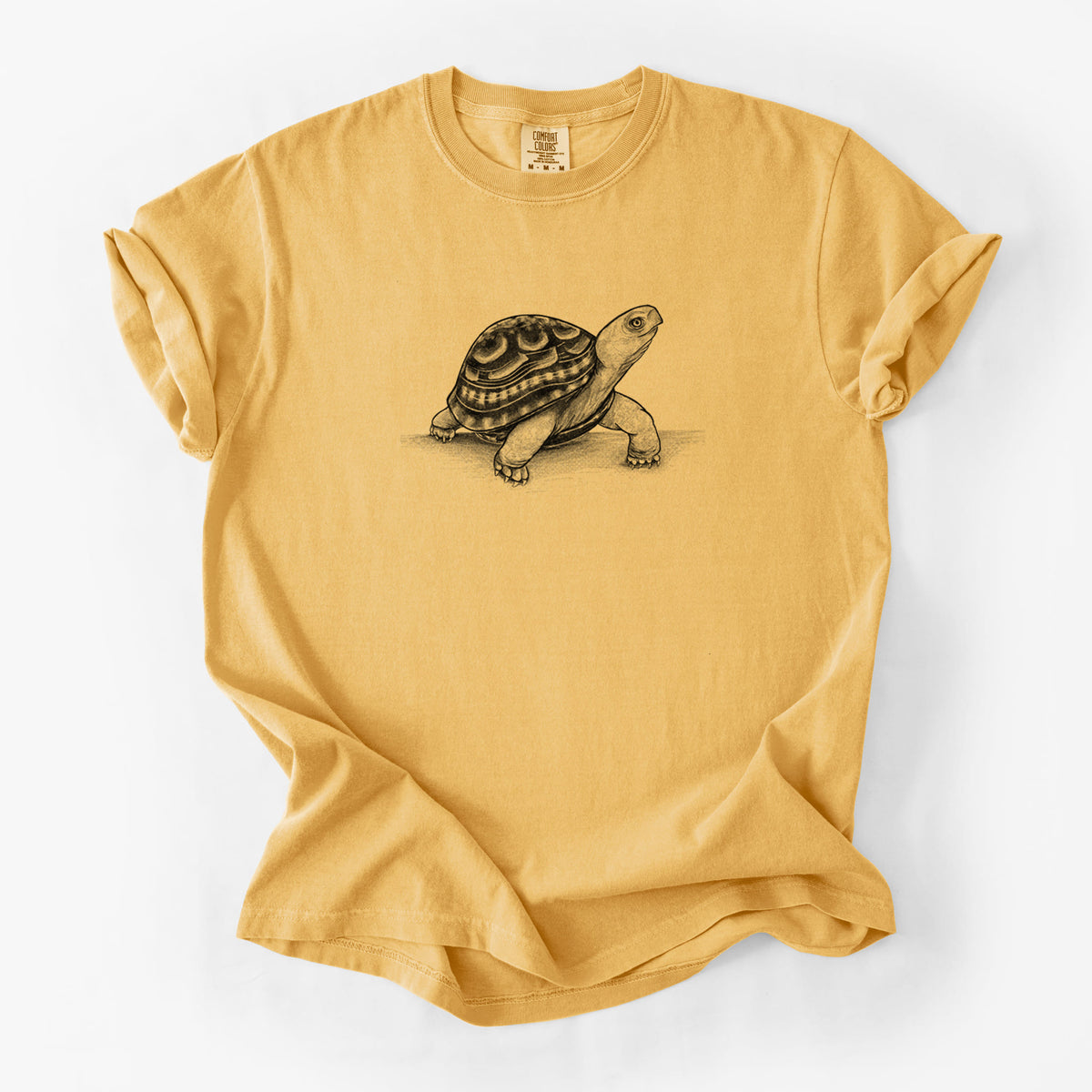 Common Box Turtle - Terrapene carolina - Unisex Comfort Colors Garment-Dyed Heavyweight T-shirt