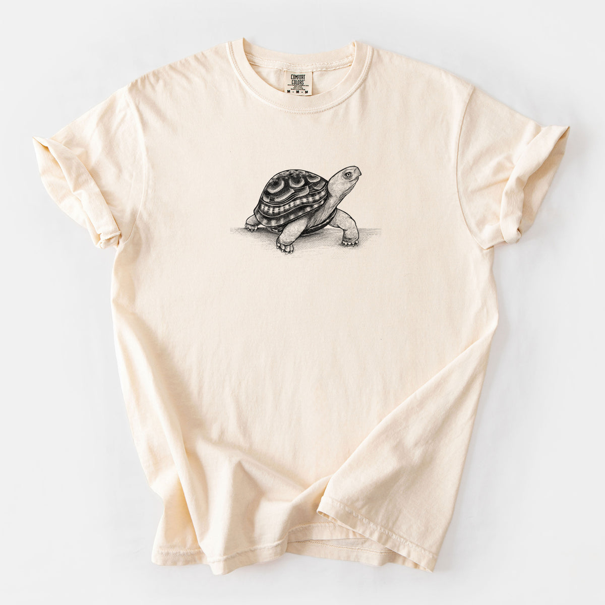 Common Box Turtle - Terrapene carolina - Unisex Comfort Colors Garment-Dyed Heavyweight T-shirt