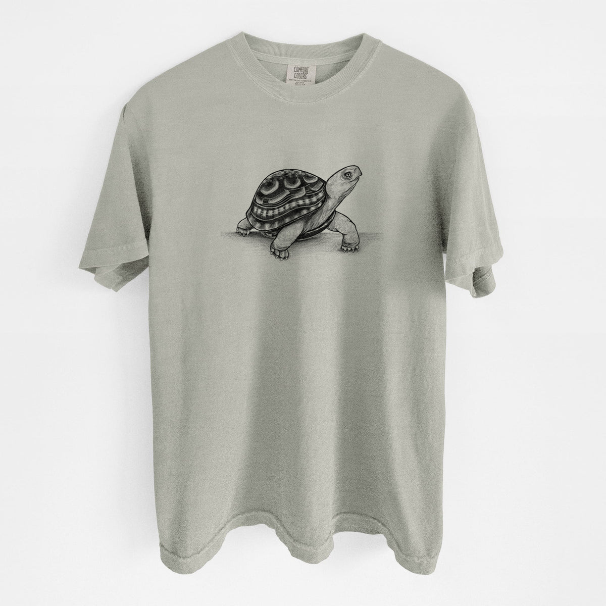 Common Box Turtle - Terrapene carolina - Unisex Comfort Colors Garment-Dyed Heavyweight T-shirt