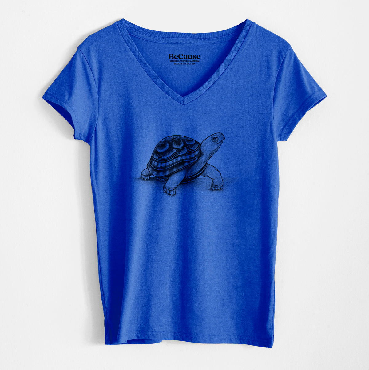 Common Box Turtle - Terrapene carolina - Women&#39;s 100% Recycled V-neck