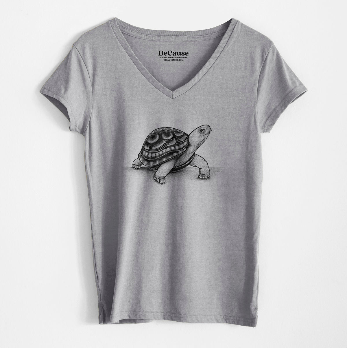 Common Box Turtle - Terrapene carolina - Women&#39;s 100% Recycled V-neck