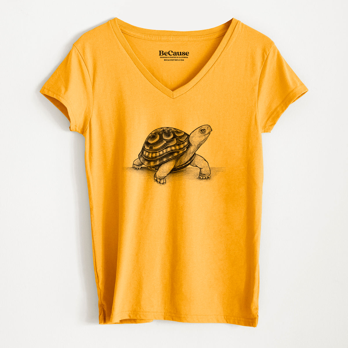 Common Box Turtle - Terrapene carolina - Women&#39;s 100% Recycled V-neck