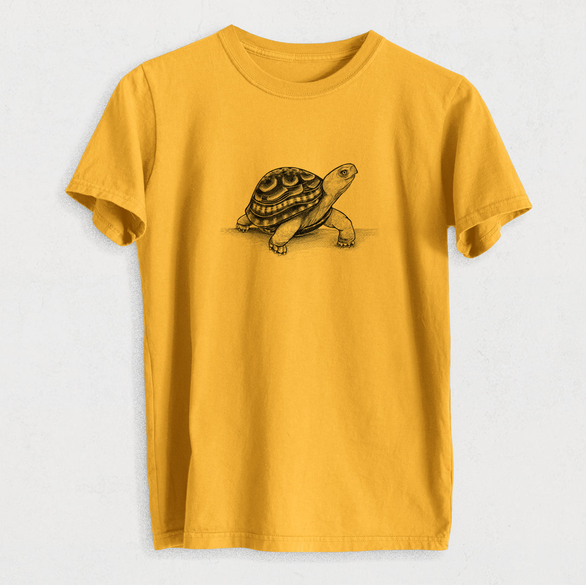 Common Box Turtle - Terrapene carolina - Heavyweight Men&#39;s 100% Organic Cotton Tee