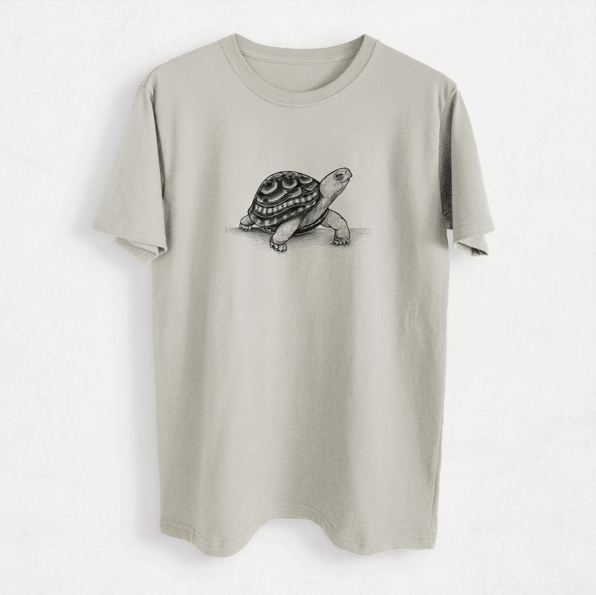 Common Box Turtle - Terrapene carolina - Heavyweight Men&#39;s 100% Organic Cotton Tee