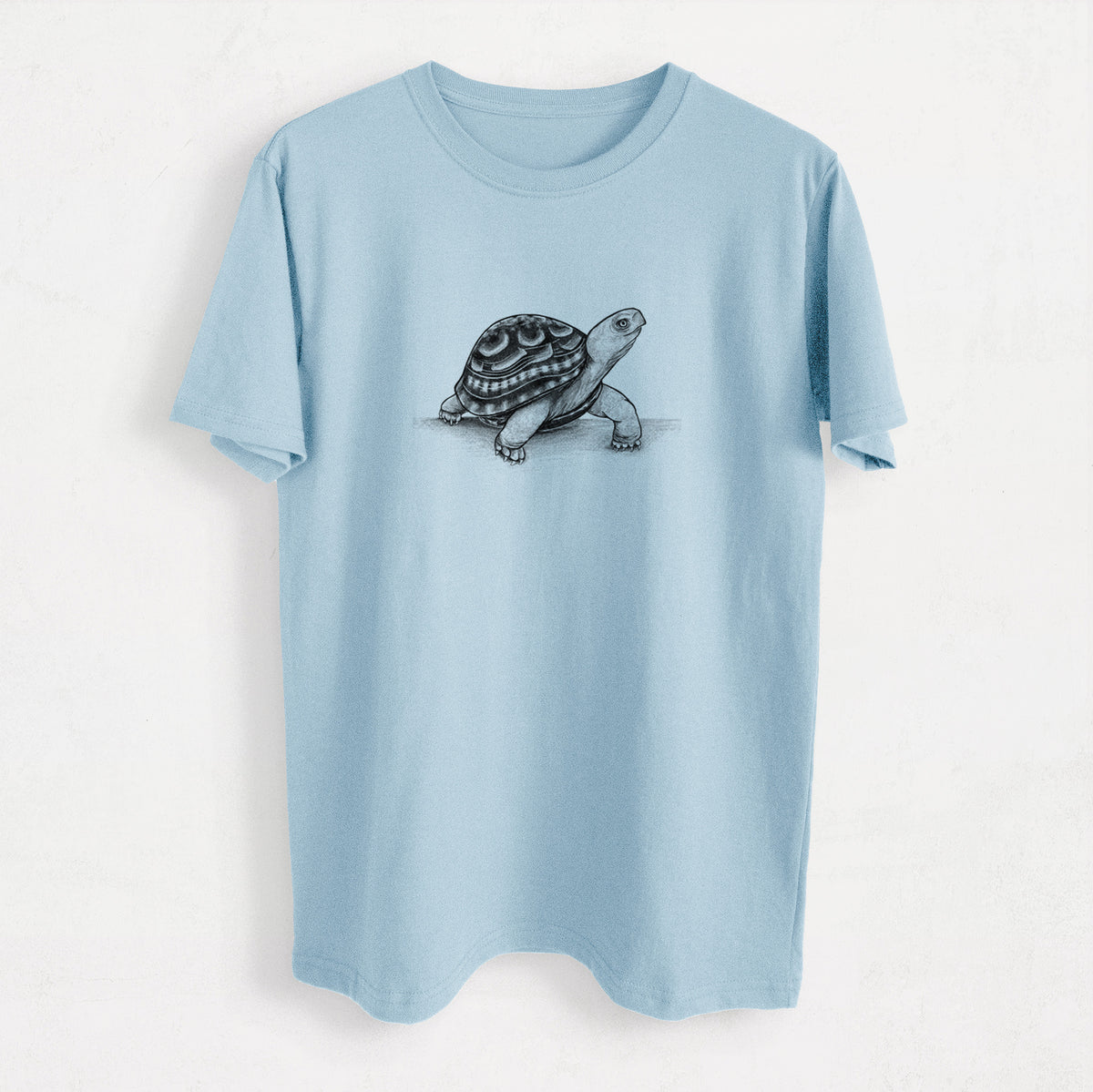 Common Box Turtle - Terrapene carolina - Heavyweight Men&#39;s 100% Organic Cotton Tee