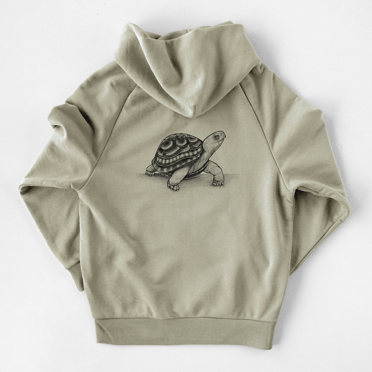 Common Box Turtle - Terrapene carolina - UltraLuxe Heavyweight French Terry Hoodie
