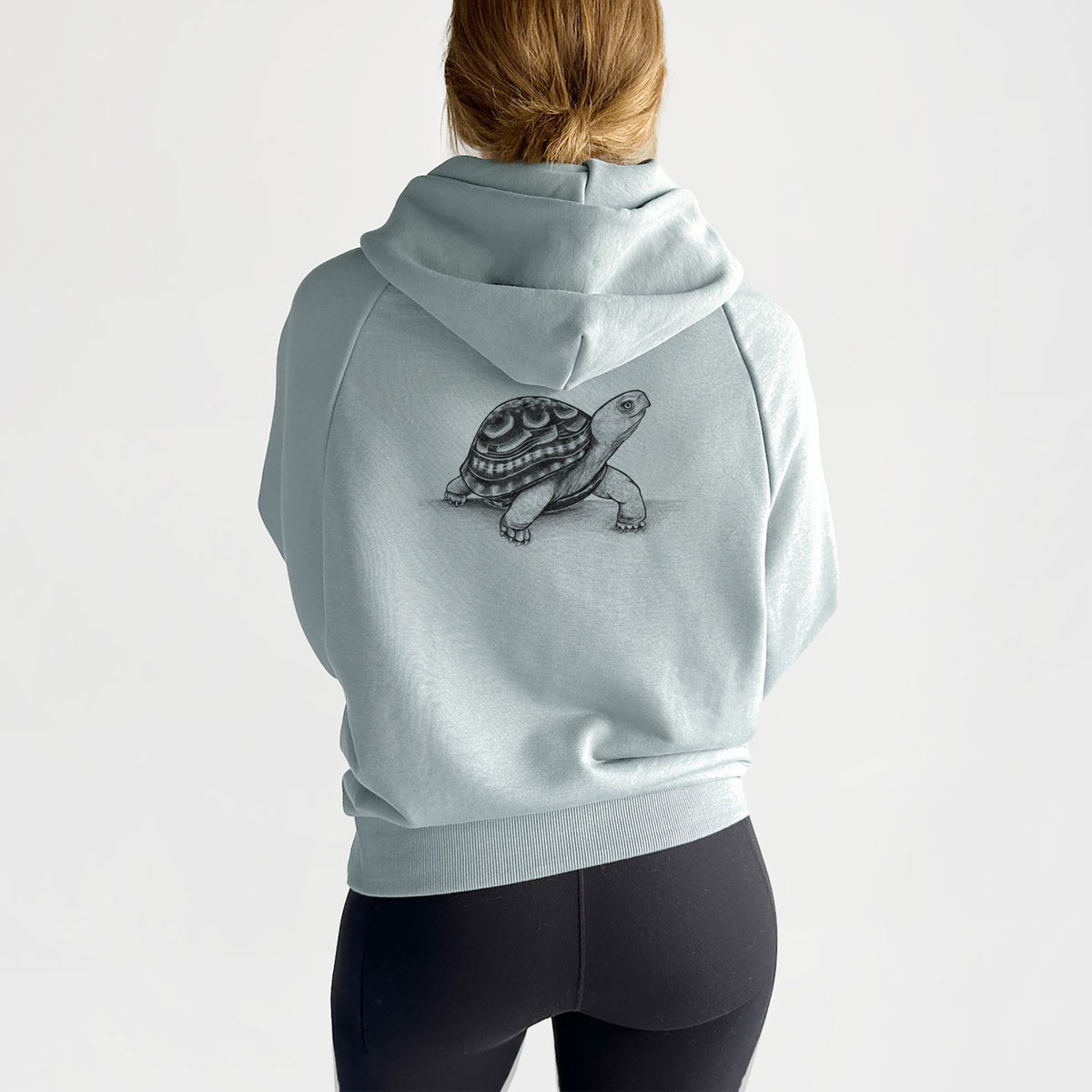 Common Box Turtle - Terrapene carolina - UltraLuxe Heavyweight French Terry Hoodie