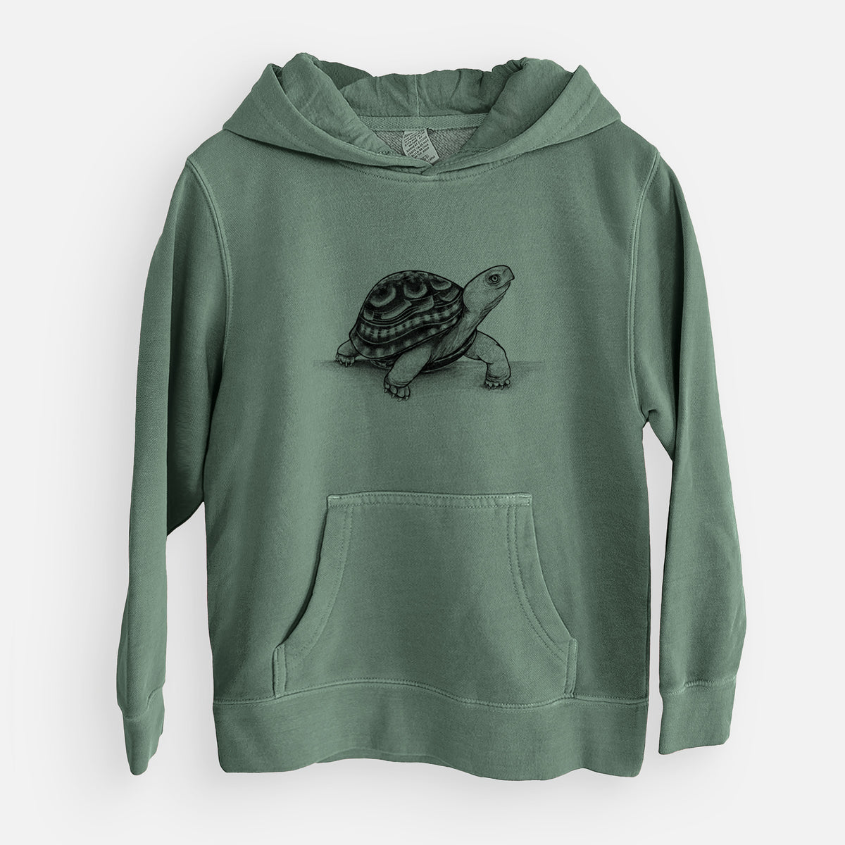 Common Box Turtle - Terrapene carolina - Youth Pigment Dyed Hoodie