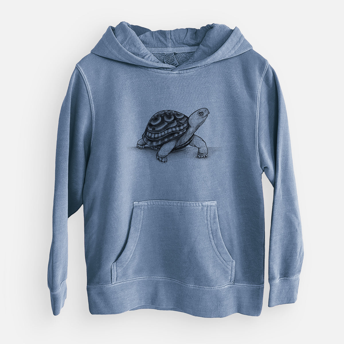 Common Box Turtle - Terrapene carolina - Youth Pigment Dyed Hoodie
