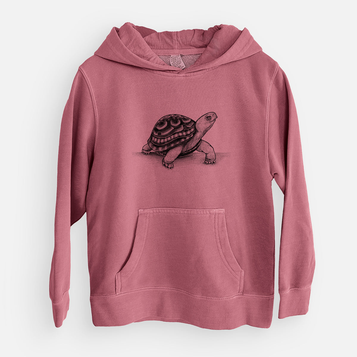 Common Box Turtle - Terrapene carolina - Youth Pigment Dyed Hoodie