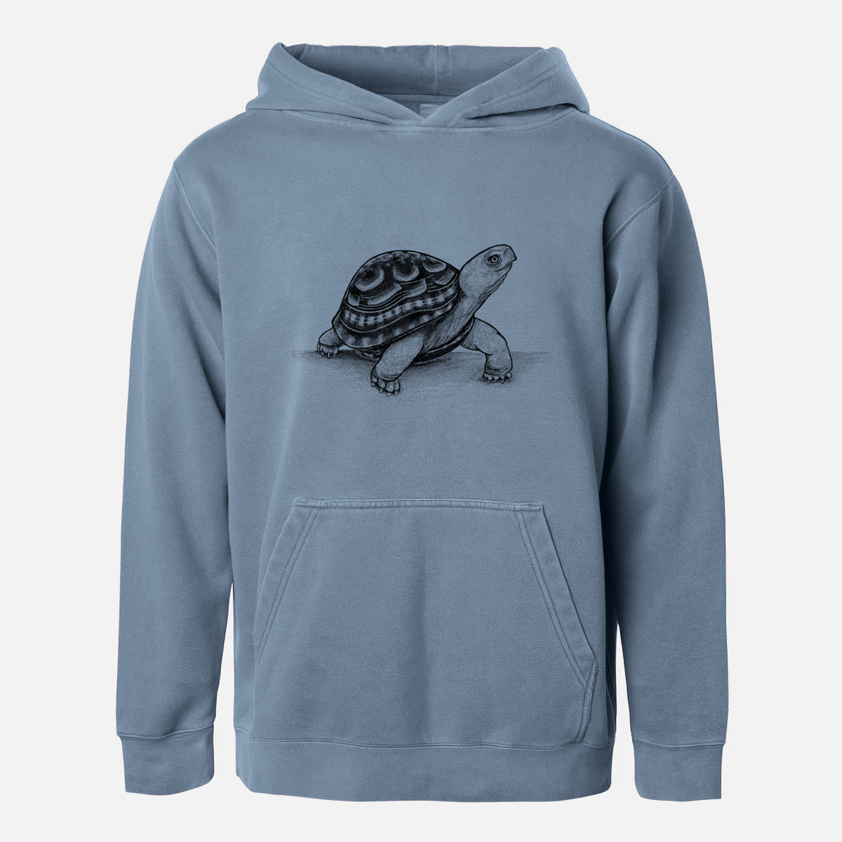 Common Box Turtle - Terrapene carolina - Youth Pigment Dyed Hoodie