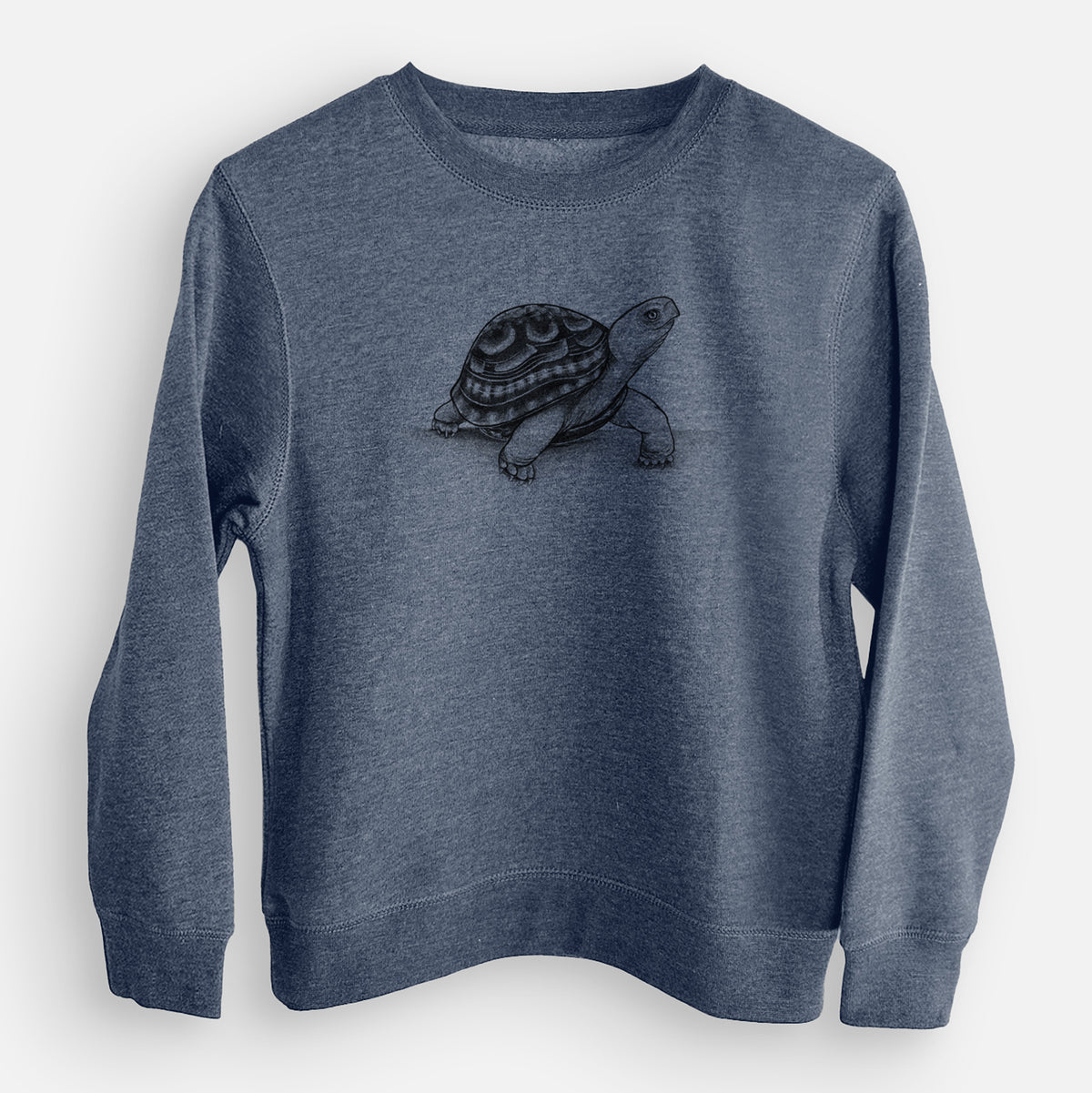 Common Box Turtle - Terrapene carolina - Youth Lightweight Crewneck Sweatshirt