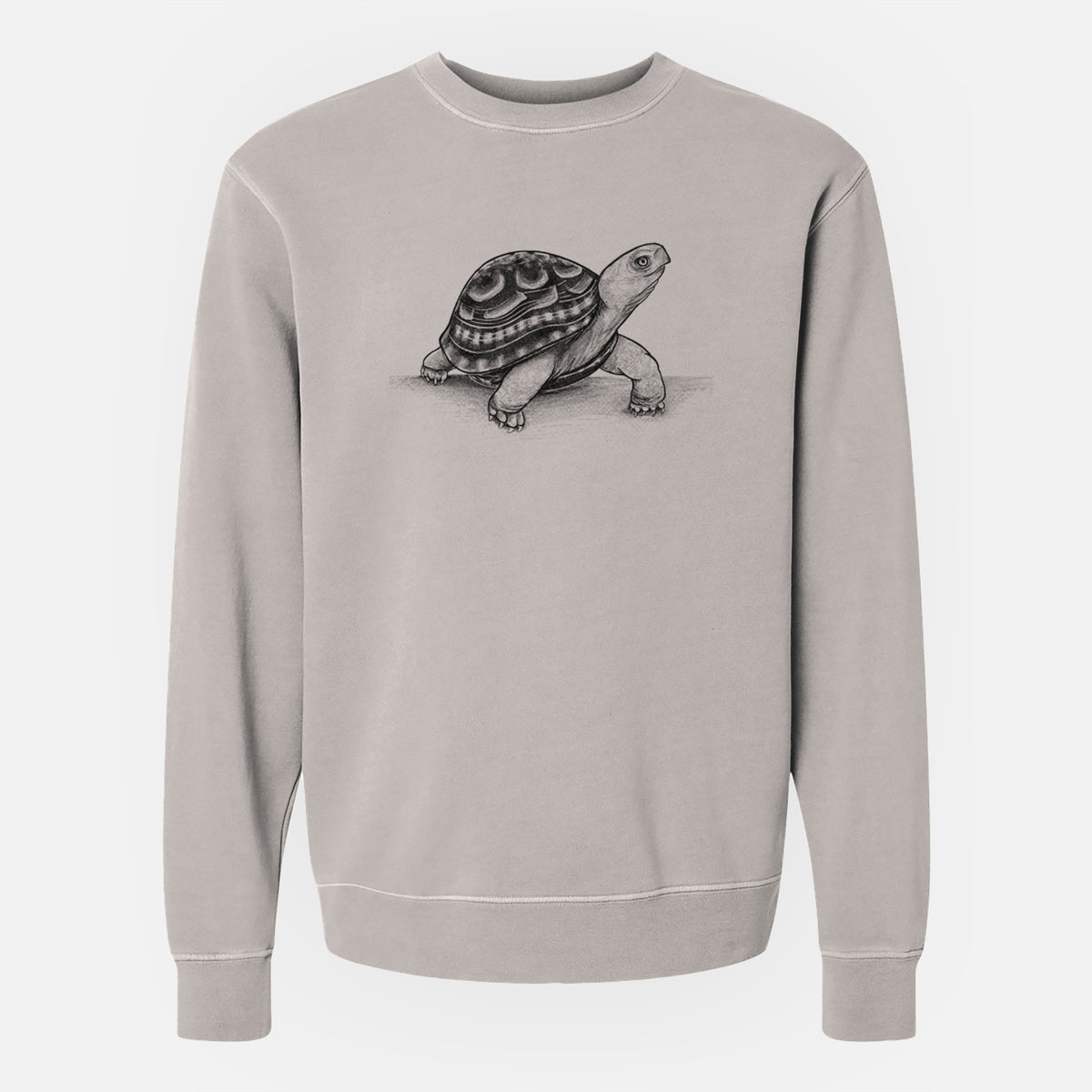 Common Box Turtle - Terrapene carolina - Unisex Pigment Dyed Crew Sweatshirt