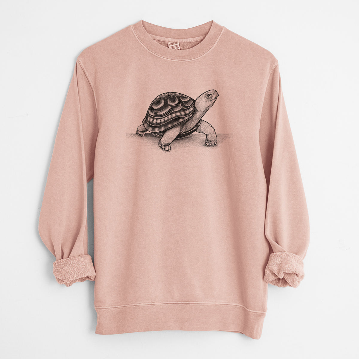 Common Box Turtle - Terrapene carolina - Unisex Pigment Dyed Crew Sweatshirt