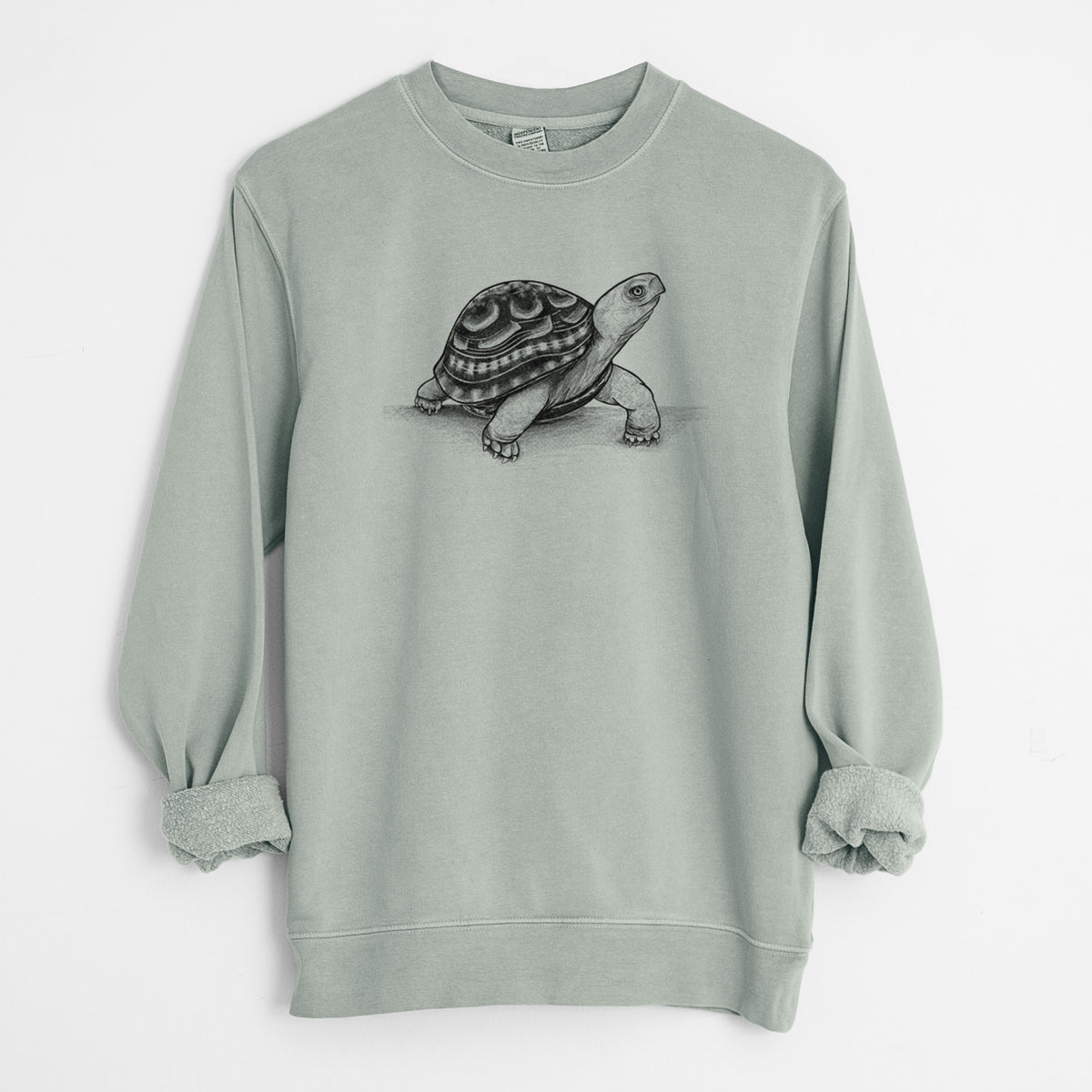 Common Box Turtle - Terrapene carolina - Unisex Pigment Dyed Crew Sweatshirt