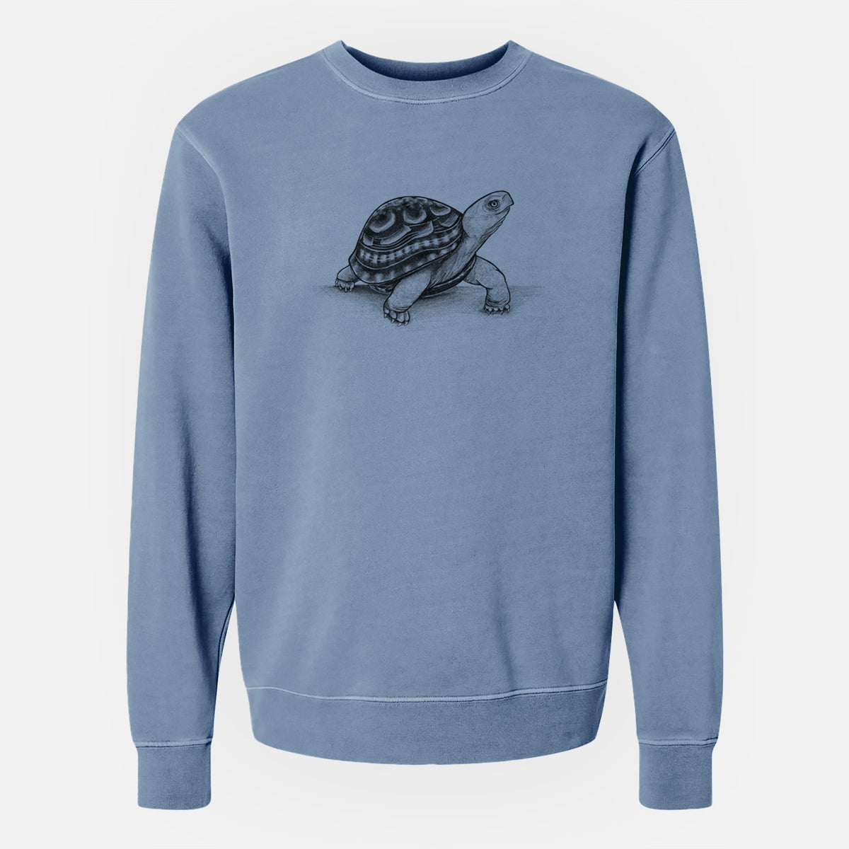 Common Box Turtle - Terrapene carolina - Unisex Pigment Dyed Crew Sweatshirt