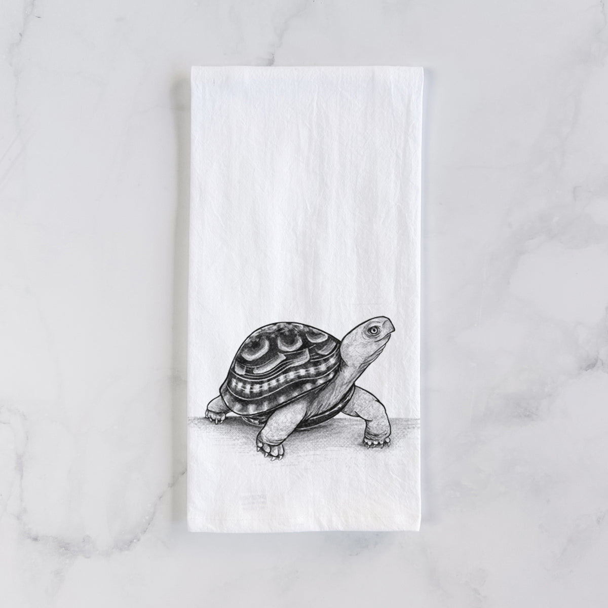 Common Box Turtle - Terrapene carolina Tea Towel
