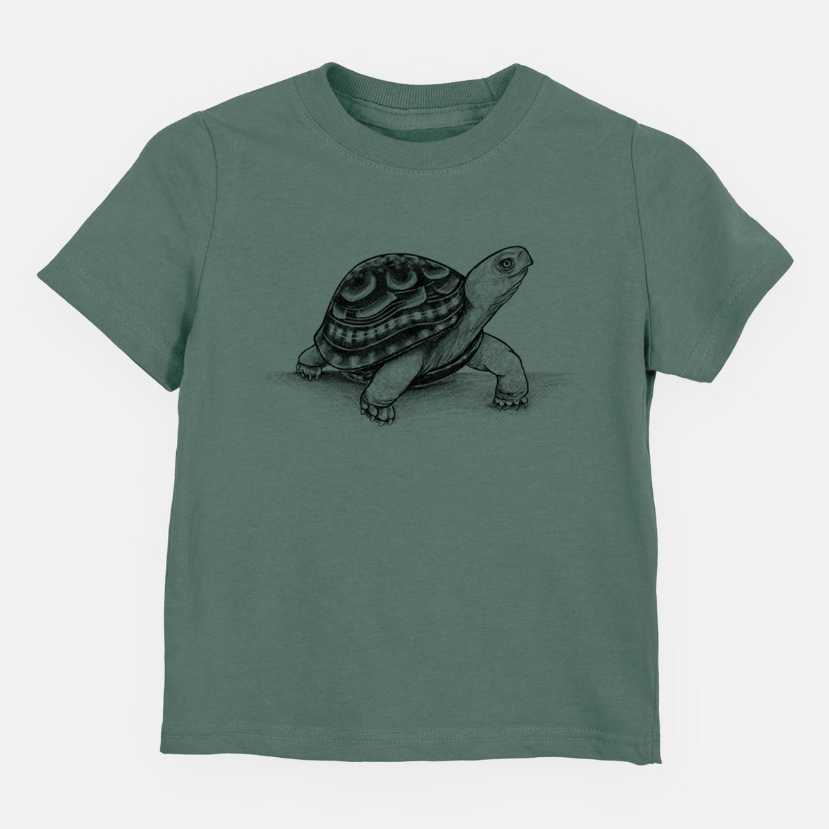 Common Box Turtle - Terrapene carolina - Toddler/Youth Shirt