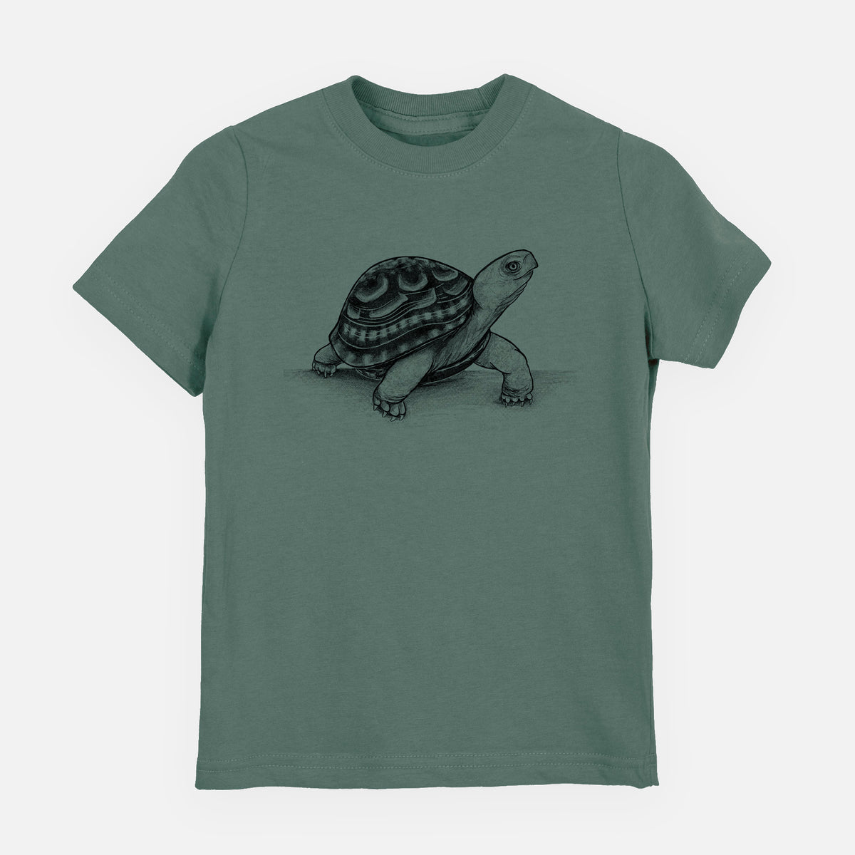 Common Box Turtle - Terrapene carolina - Toddler/Youth Shirt