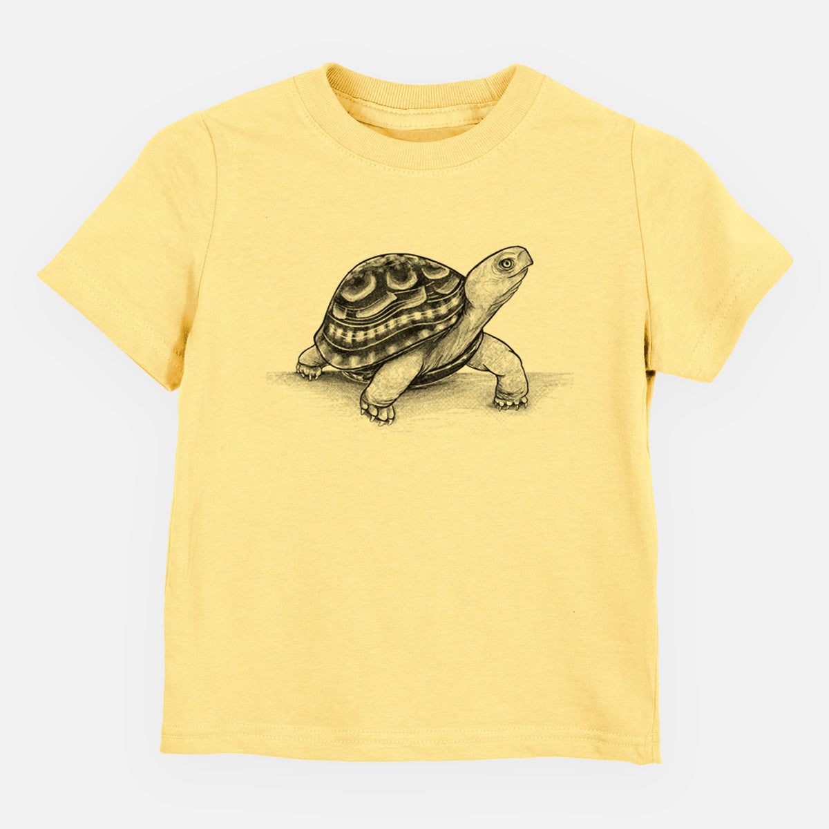 Common Box Turtle - Terrapene carolina - Toddler/Youth Shirt