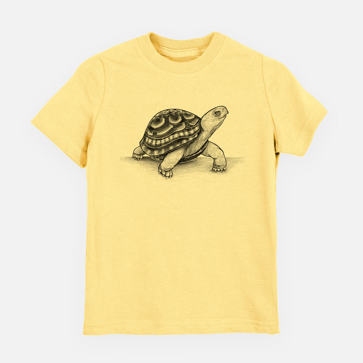 Common Box Turtle - Terrapene carolina - Toddler/Youth Shirt