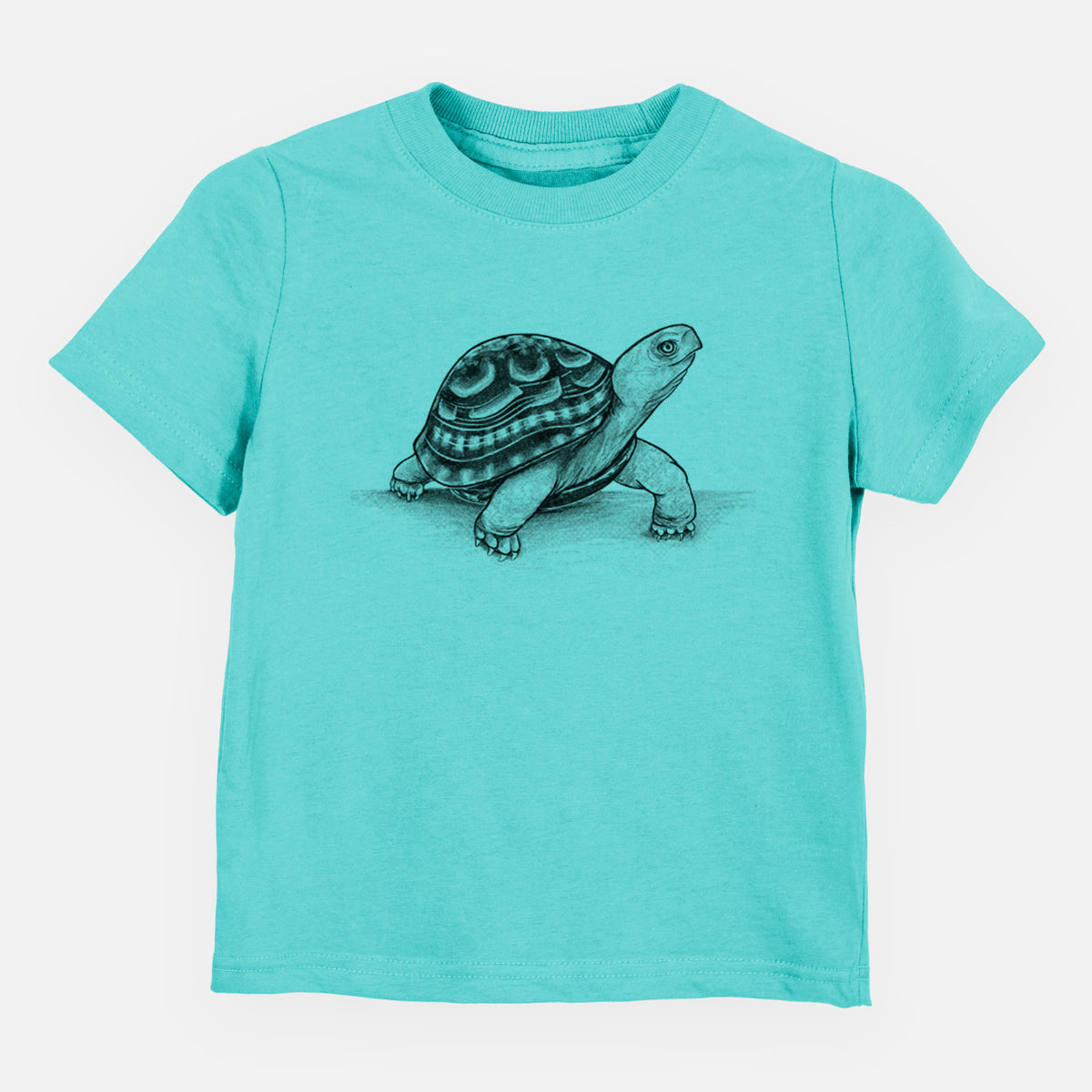 Common Box Turtle - Terrapene carolina - Toddler/Youth Shirt