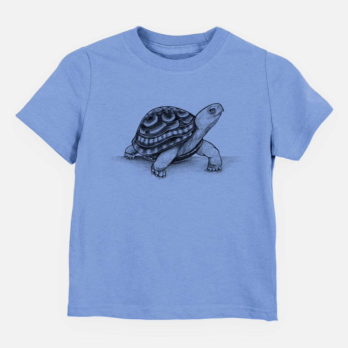 Common Box Turtle - Terrapene carolina - Toddler/Youth Shirt