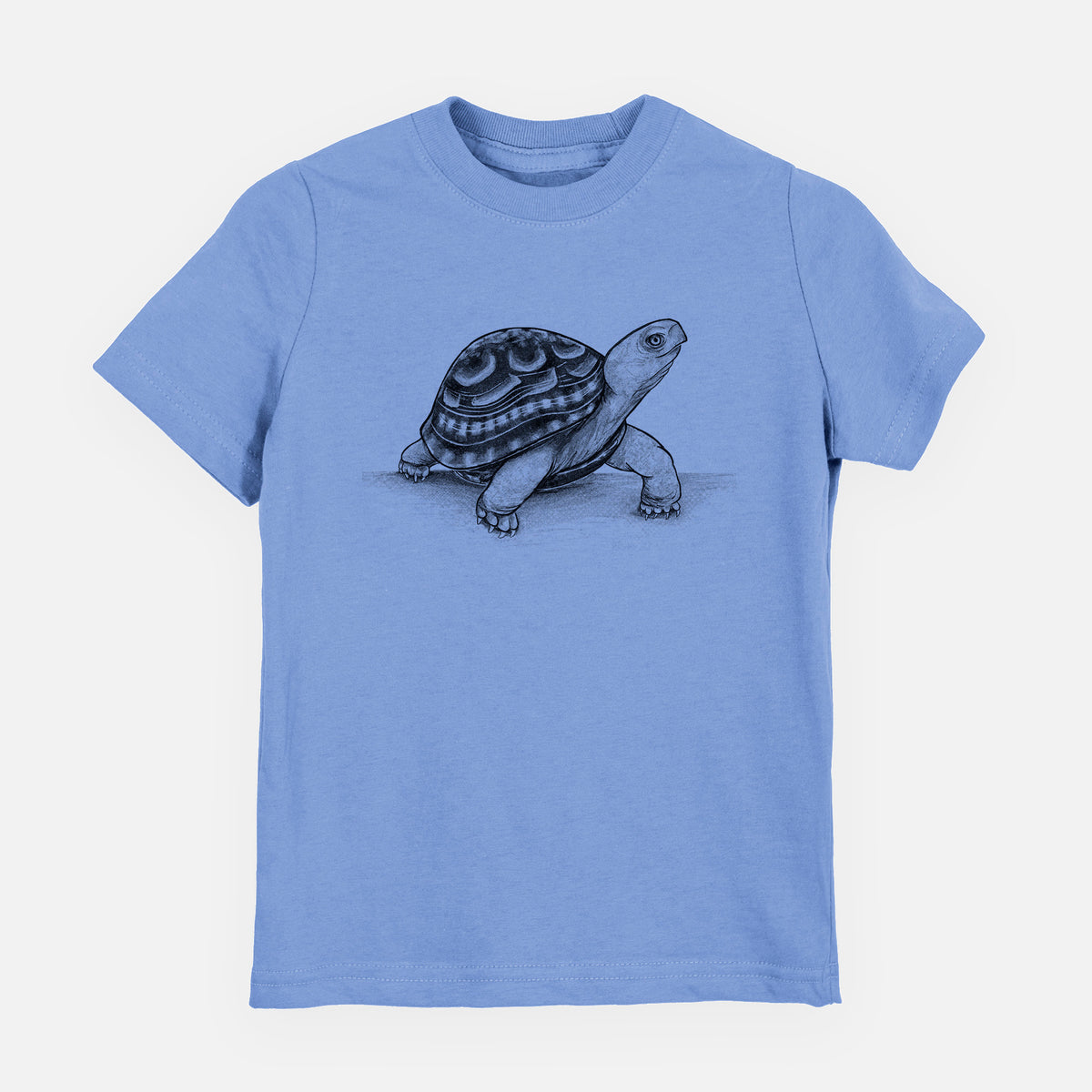 Common Box Turtle - Terrapene carolina - Toddler/Youth Shirt