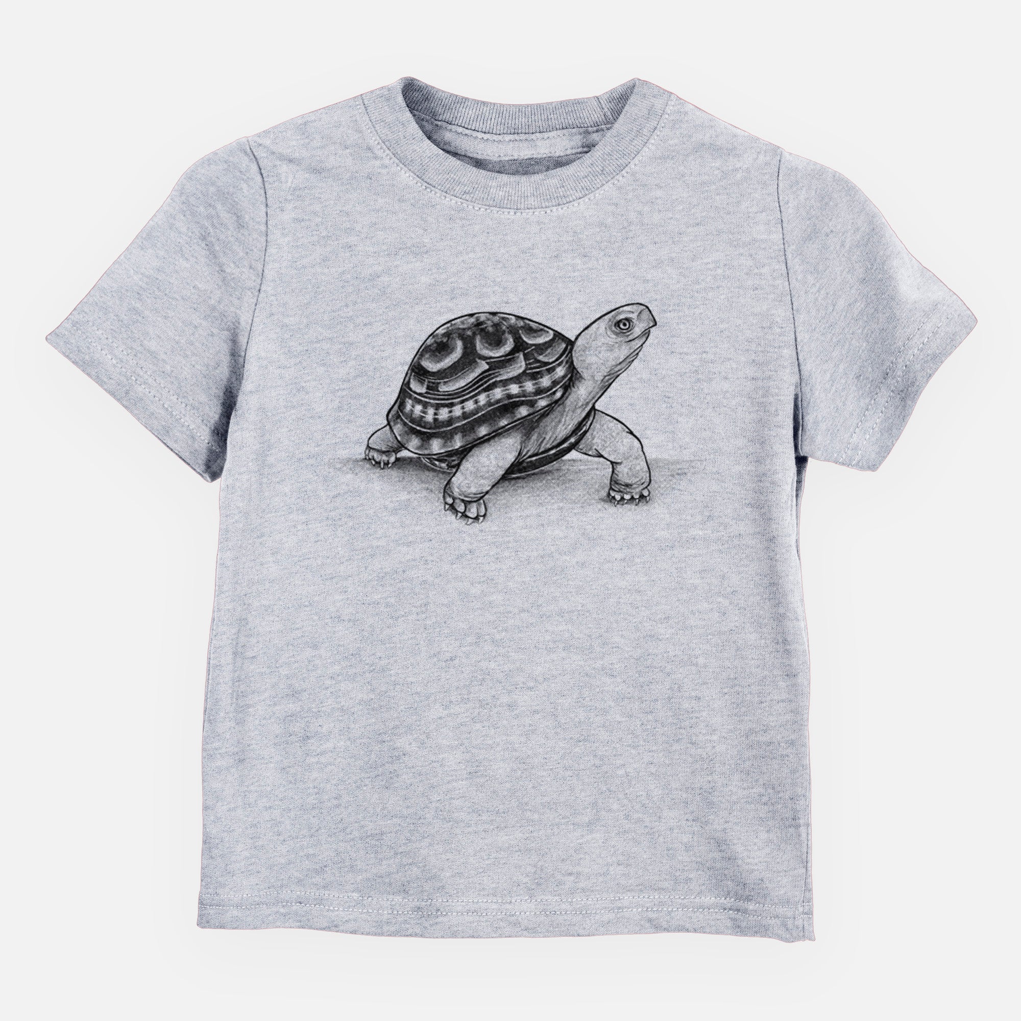 Common Box Turtle - Terrapene carolina - Toddler/Youth Shirt