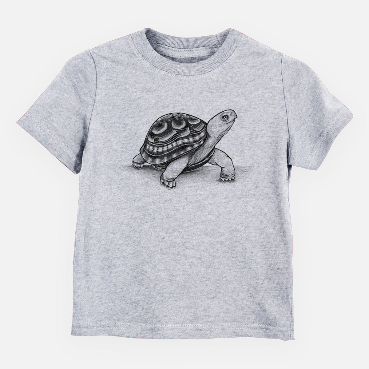 Common Box Turtle - Terrapene carolina - Toddler/Youth Shirt