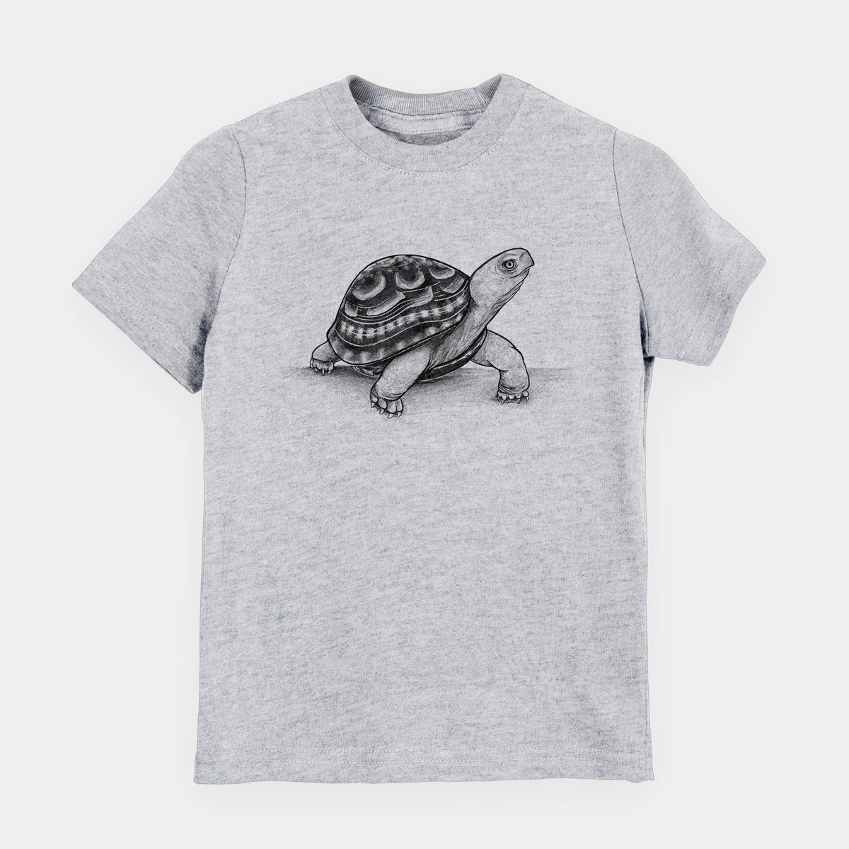 Common Box Turtle - Terrapene carolina - Toddler/Youth Shirt