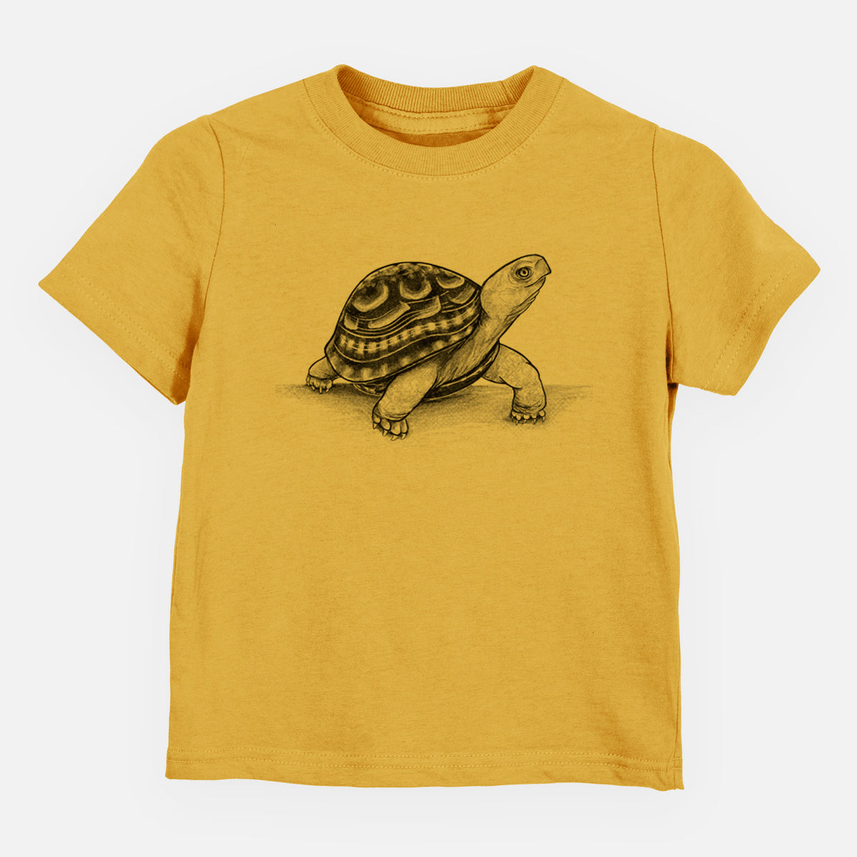 Common Box Turtle - Terrapene carolina - Toddler/Youth Shirt