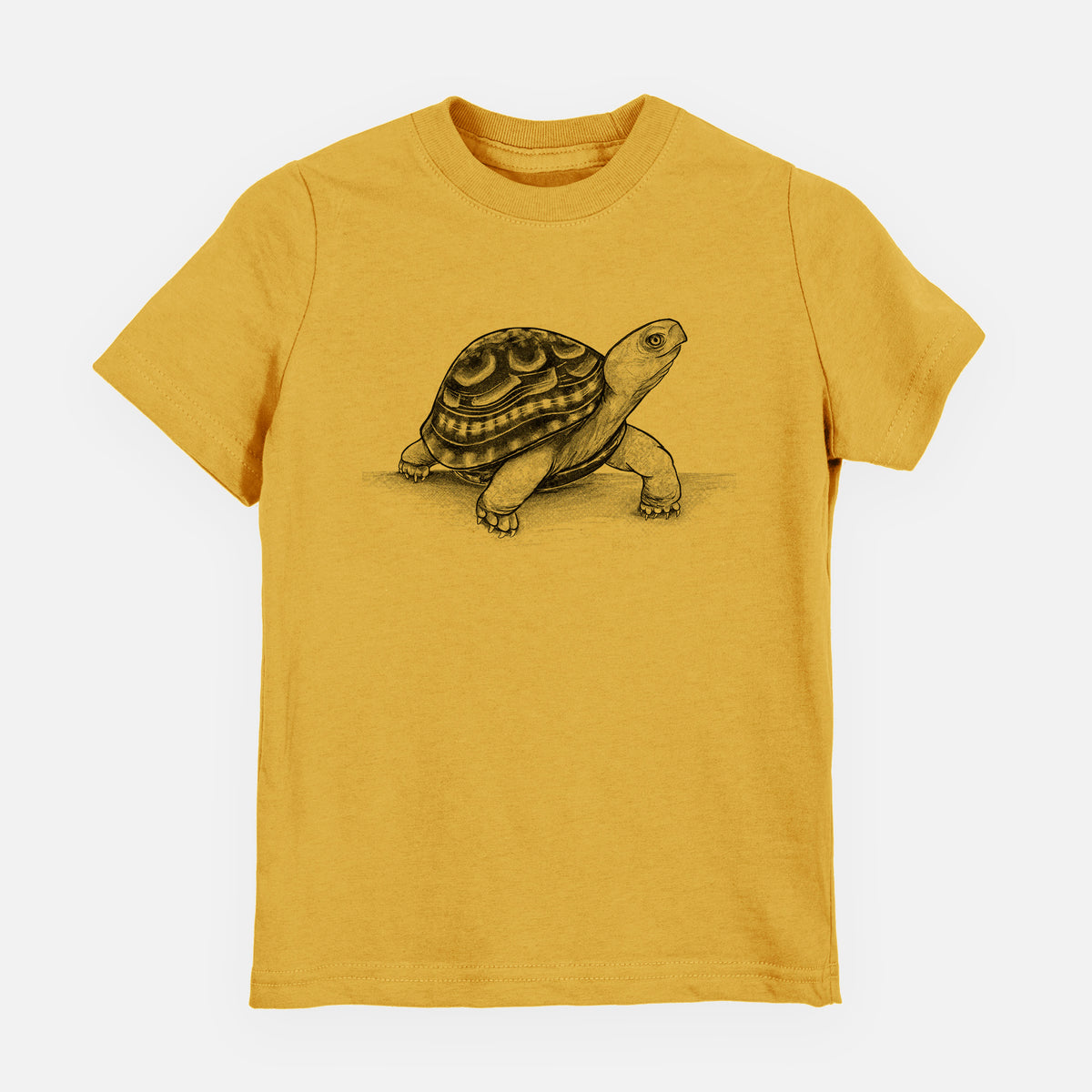 Common Box Turtle - Terrapene carolina - Toddler/Youth Shirt