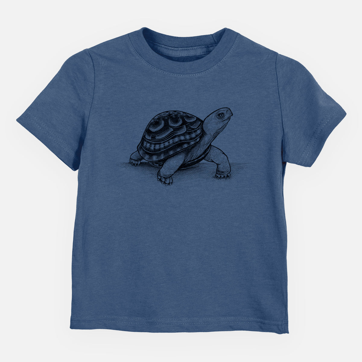 Common Box Turtle - Terrapene carolina - Toddler/Youth Shirt