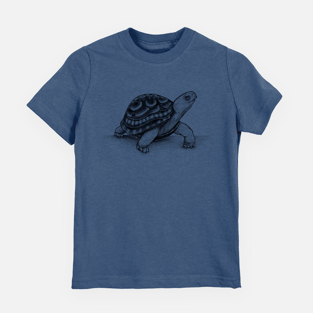 Common Box Turtle - Terrapene carolina - Toddler/Youth Shirt
