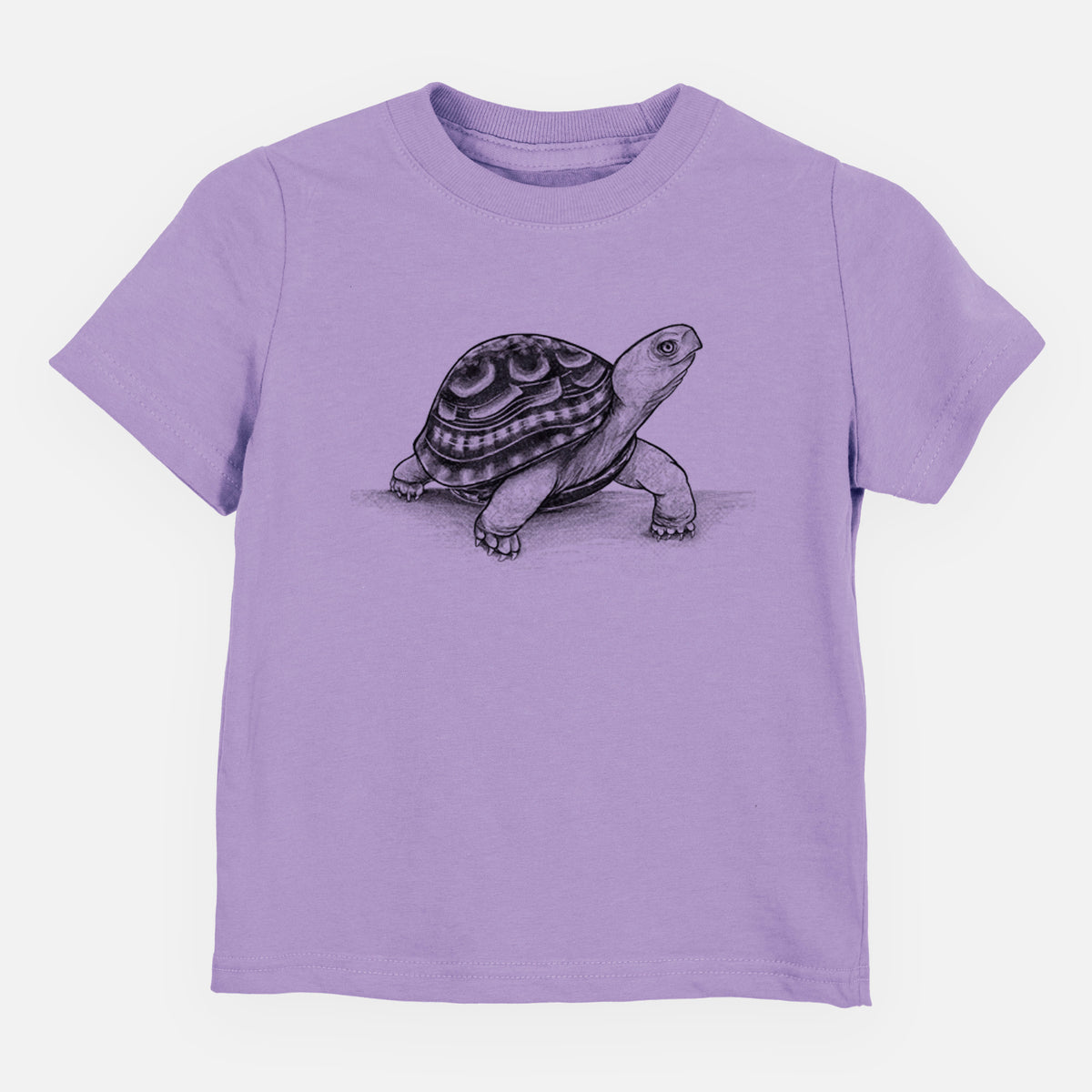 Common Box Turtle - Terrapene carolina - Toddler/Youth Shirt