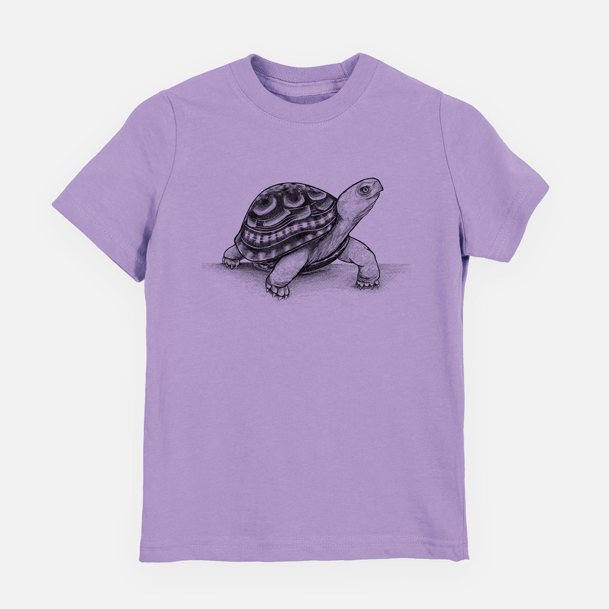 Common Box Turtle - Terrapene carolina - Toddler/Youth Shirt